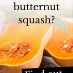 Can dogs eat butternut squash?
