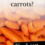 Can dogs eat carrots?