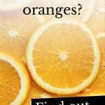 Photo of oranges with the questions 'Can dogs eat oranges?'