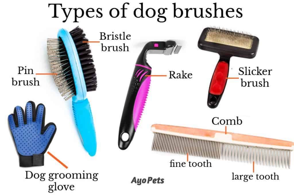 Photo of different types of dog brushes