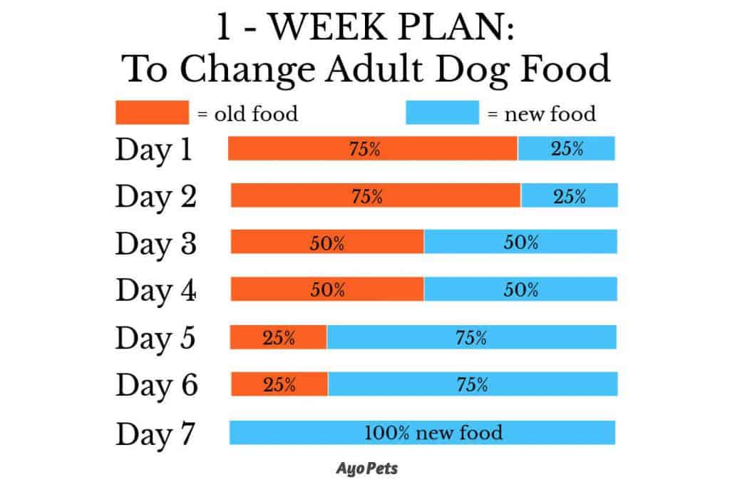 infographic of 1-week pan to change adult dog food
