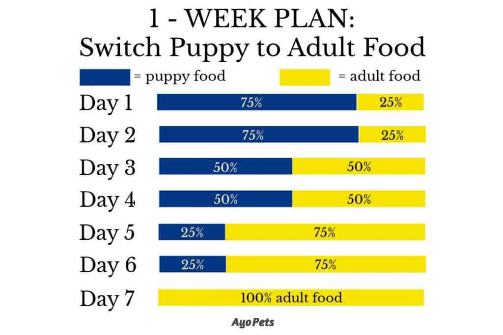 1-week plan to switch puppy to adult food - infographic chart