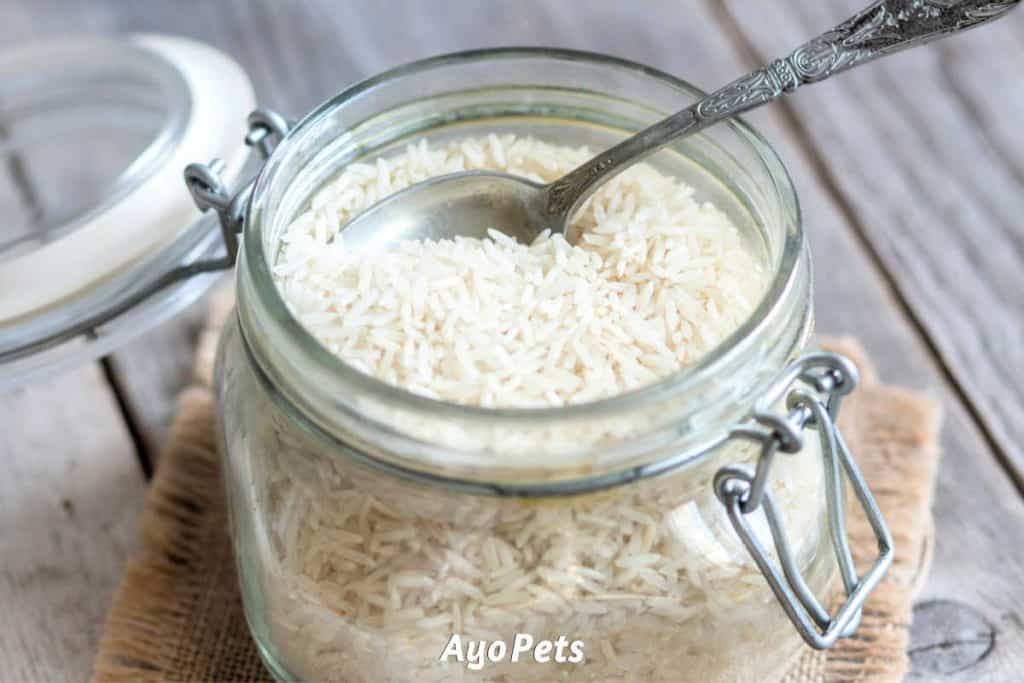 Photo of uncooked white rice in a jar