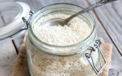 How To Make Rice For Dogs: Recipe By Dog Weight
