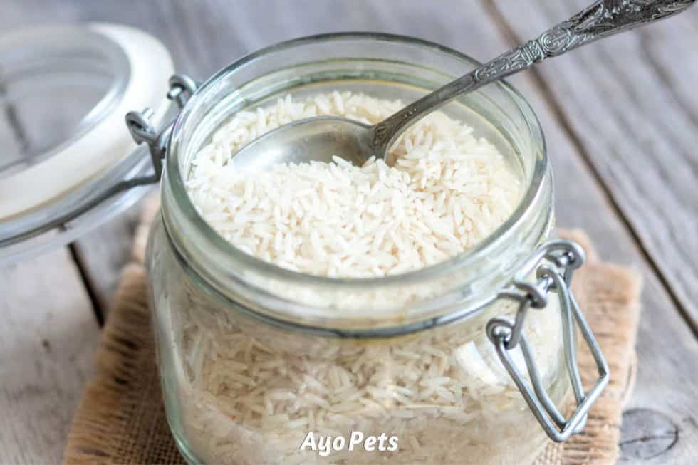 How To Make Rice For Dogs Recipe By Dog Weight Ayo Pets