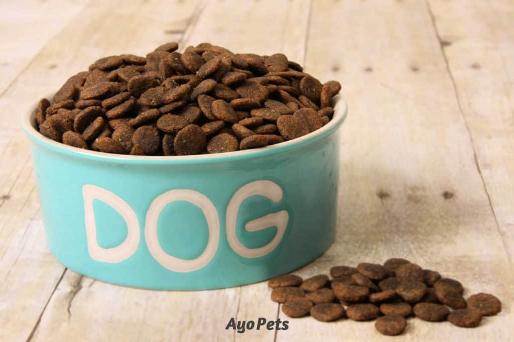 Photo of dry dog kibble in a ceramic bowl