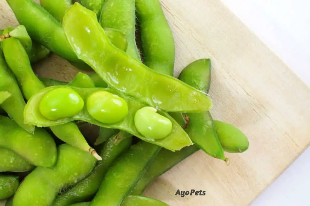 are edamame pods safe for dogs