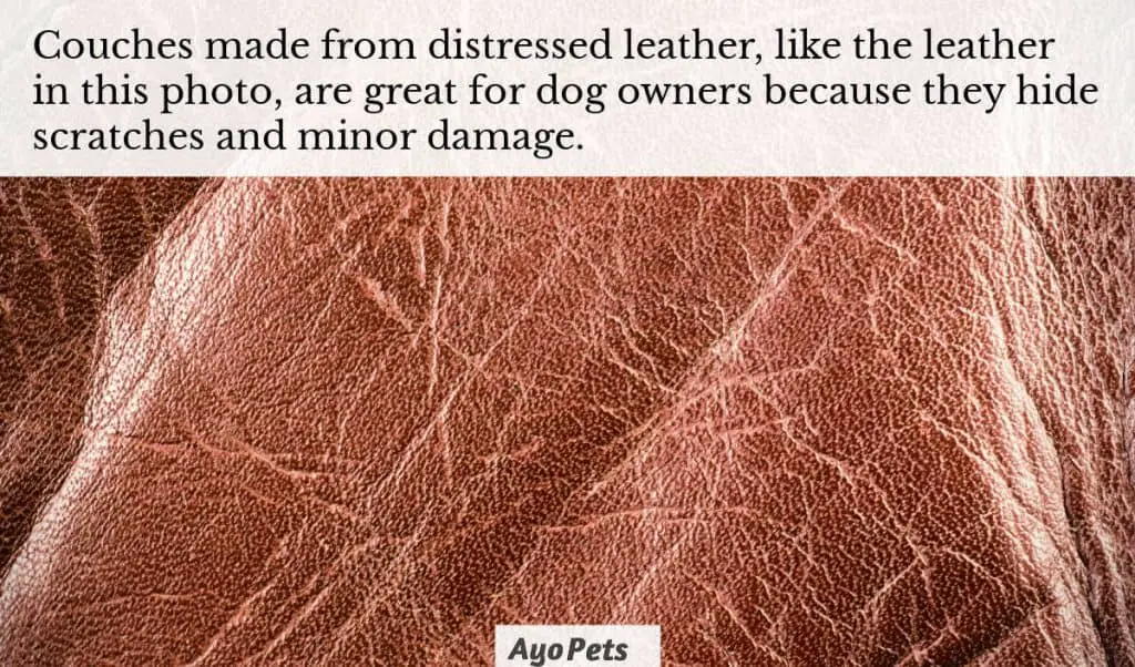 Close-up photo of distressed leather couch as a good option for dog owners